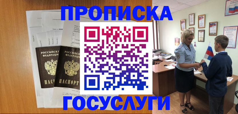 временная регистрация госуслуги в Светлограде